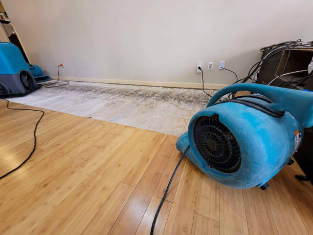 Professional Basement Flood Cleanup technician working in Wolcott, CO